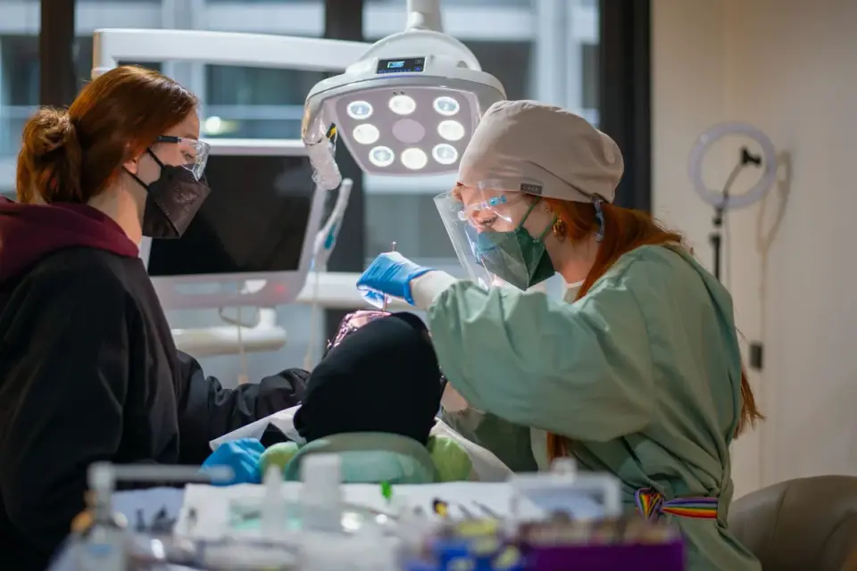 A veterinarian examining a senior dog while the owner looks on in an exam room