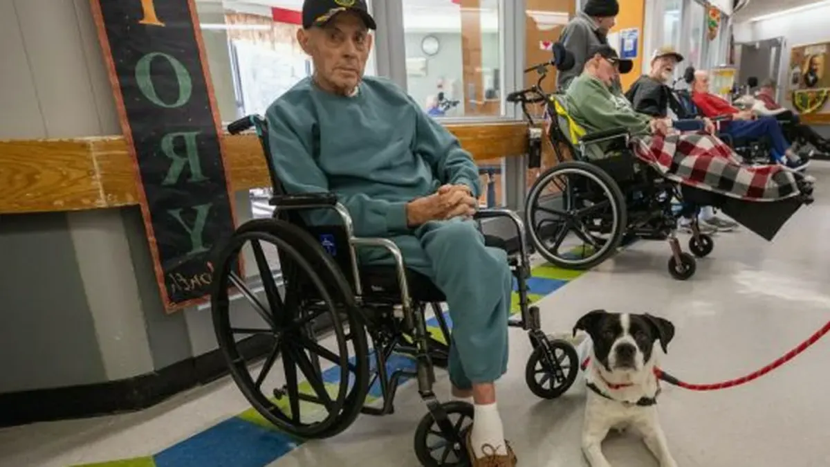 Dog standing up