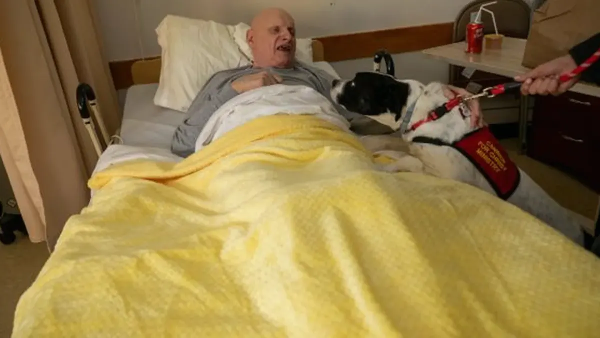 Dog with an owner at home