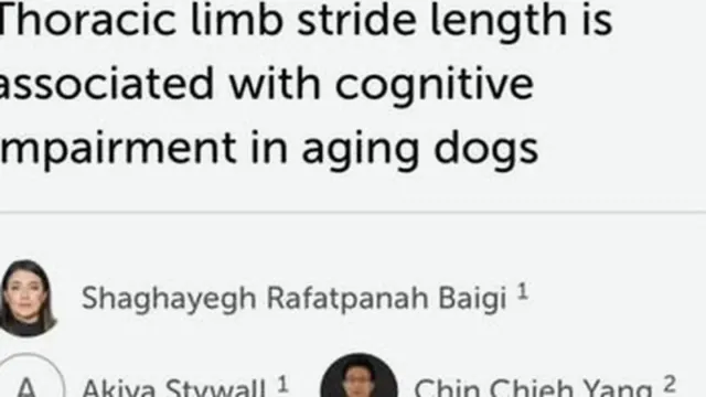 Follow and comment LINK and we’ll send the paper your way. . . . #seniordog #geriatrics