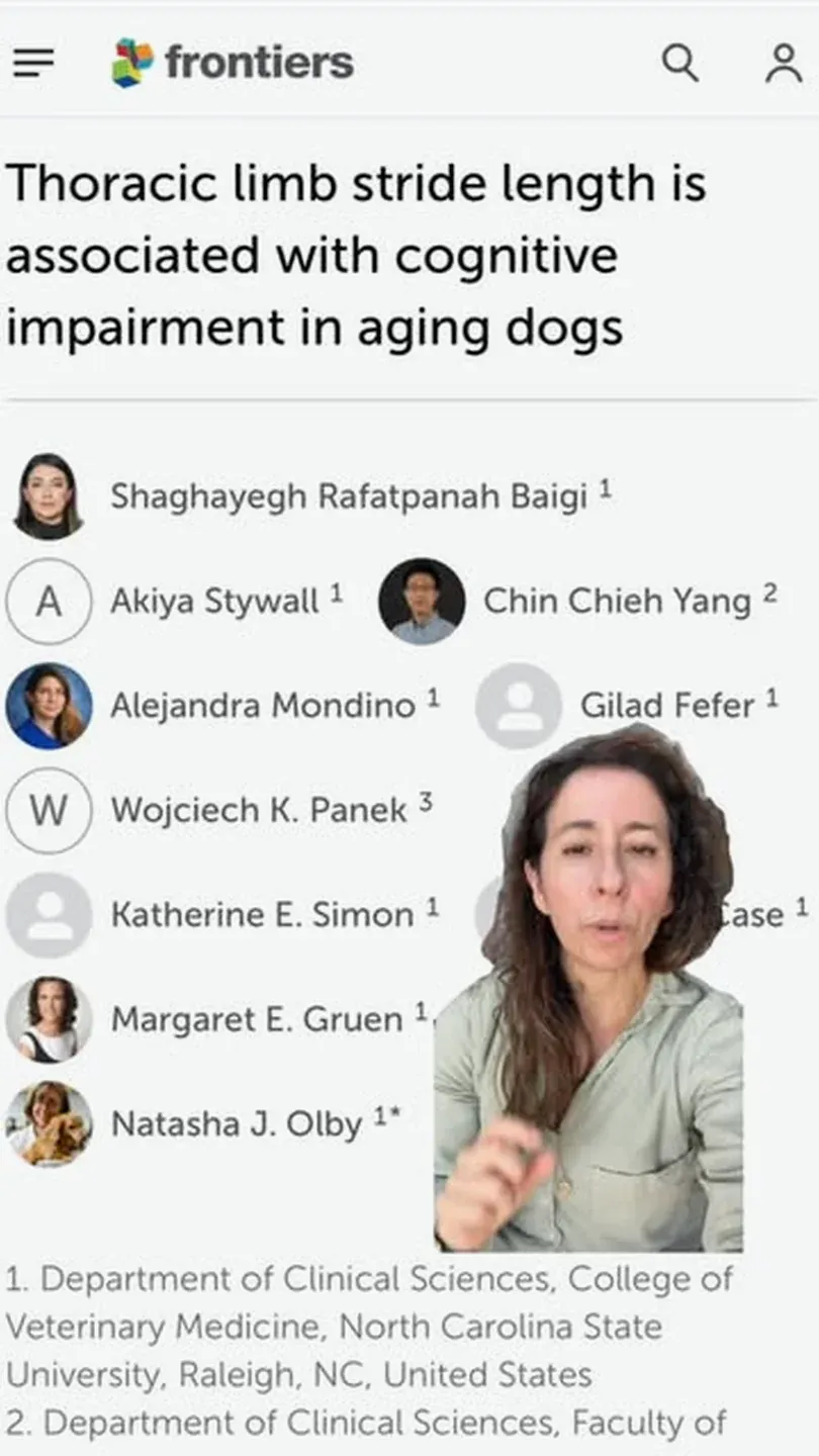 Source video