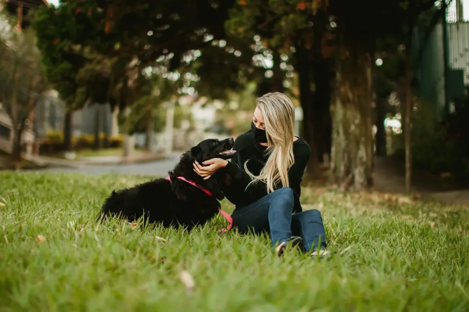 Older dog with an owner in a park