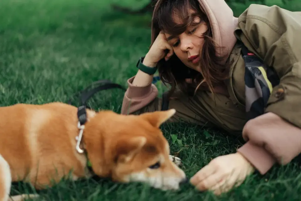 Older dog with an owner in a park